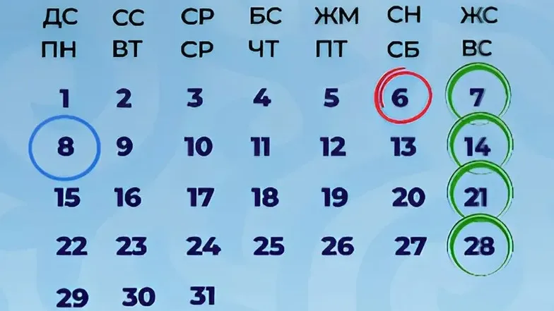 Мереке күндері ХҚКО және арнайы ХҚКО жұмыс режиміндегі өзгерістер Мереке күндері ХҚКО және арнайы ХҚКО жұмыс режиміндегі өзгерістер фото на taspanews.kz от 05 июля 2024 11:39
