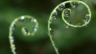 Pixabay.com
