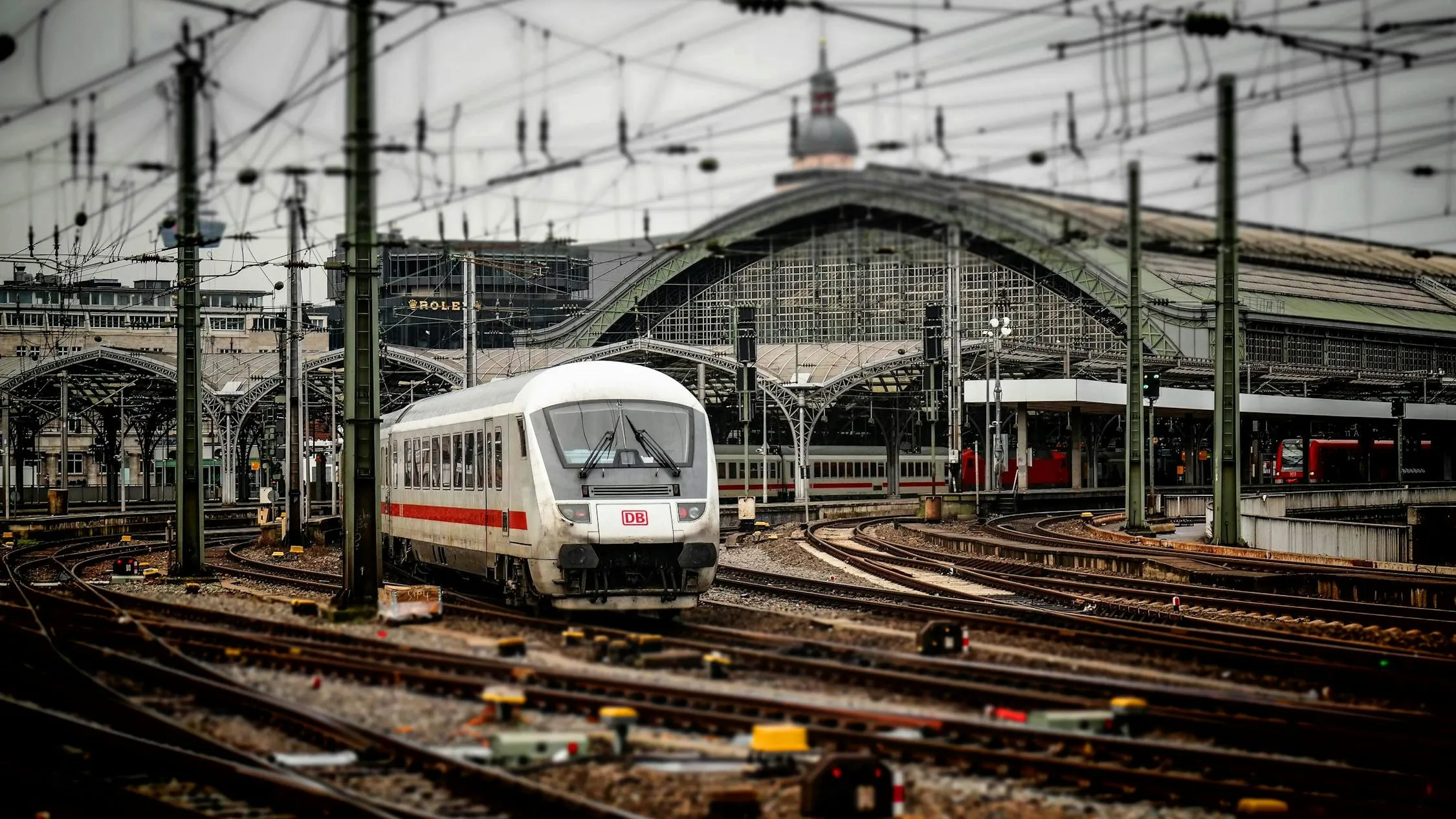 Pexels Pexels фото на taspanews.kz от 08 июня 2025 10:31