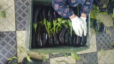 ҚР Ауыл шаруашылығы министрлігі